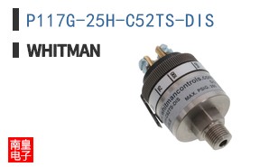 P117G-25H-C52TS-DIS ͼƬ